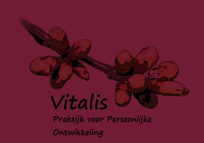 logo - Jolanda Klaassen - PRI therapie
